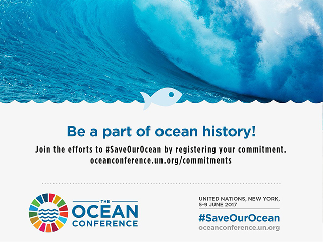 The Ocean Conference is around the corner!